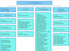 Organigramme